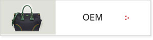 OEMɂ